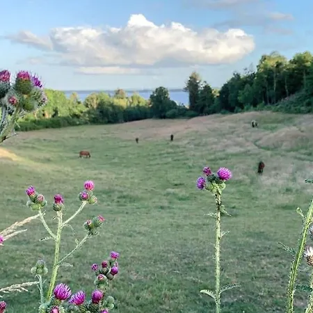 Summer House With Panoramic Views Of The Limfjord * Lihme